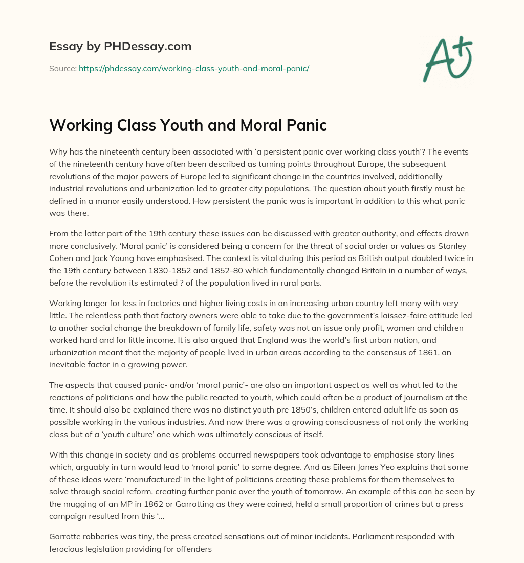 Working Class Youth and Moral Panic essay