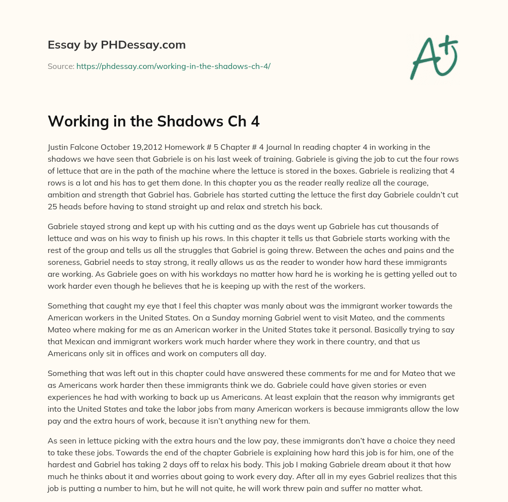 Working in the Shadows Ch 4 essay