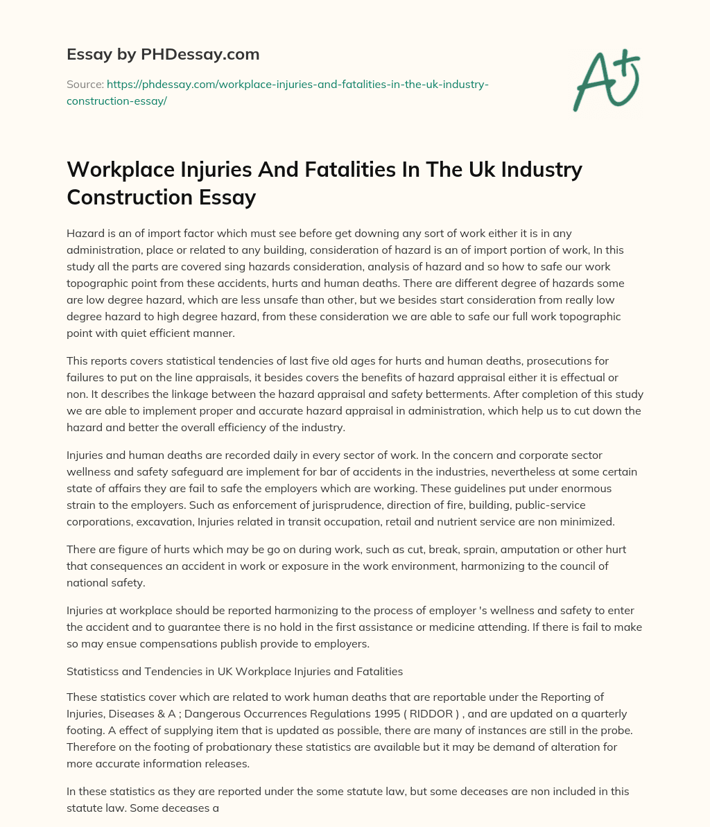Workplace Injuries And Fatalities In The Uk Industry Construction Essay essay