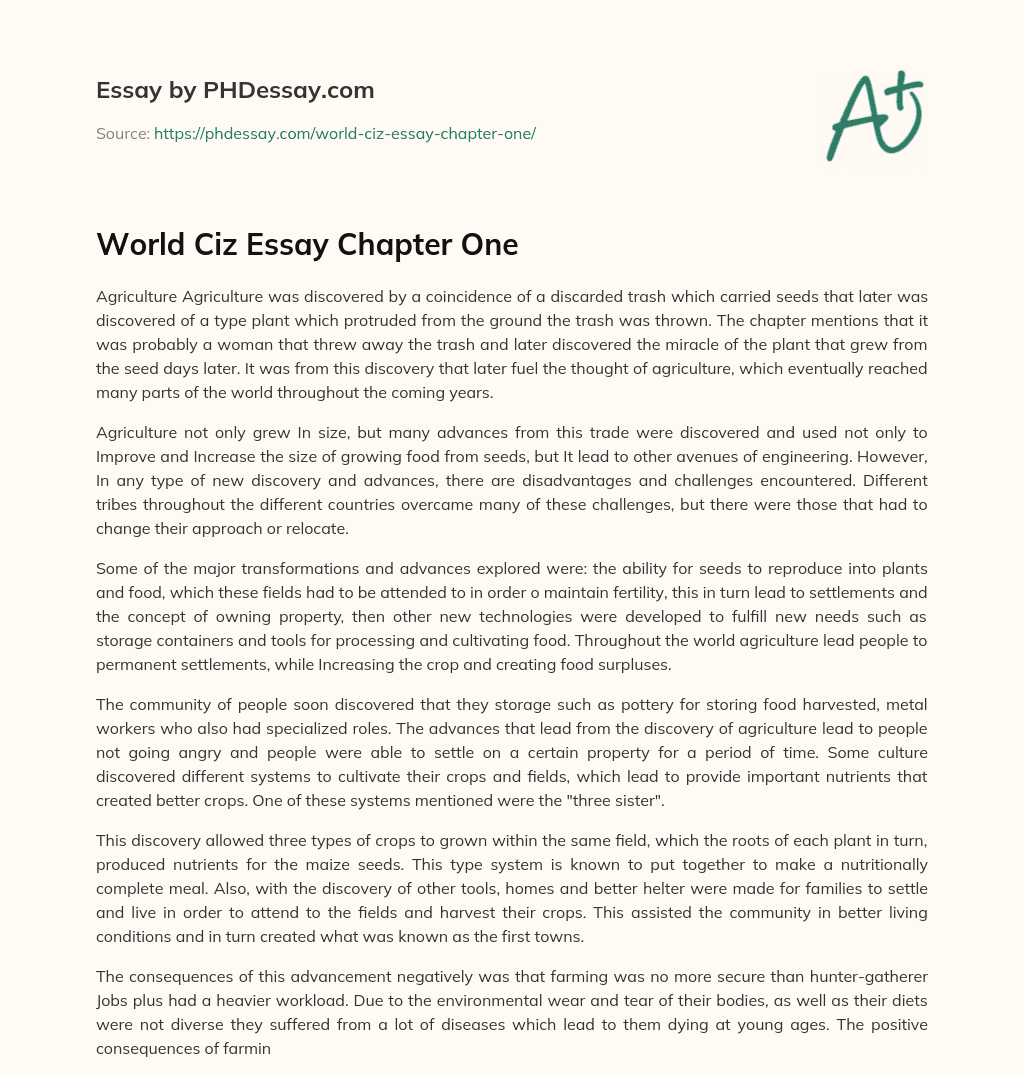 World Ciz Essay Chapter One essay