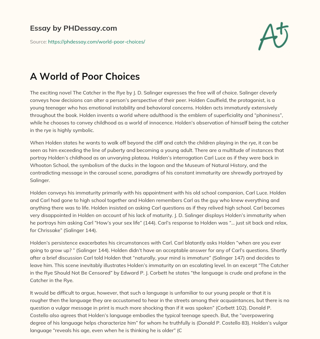 A World of Poor Choices essay