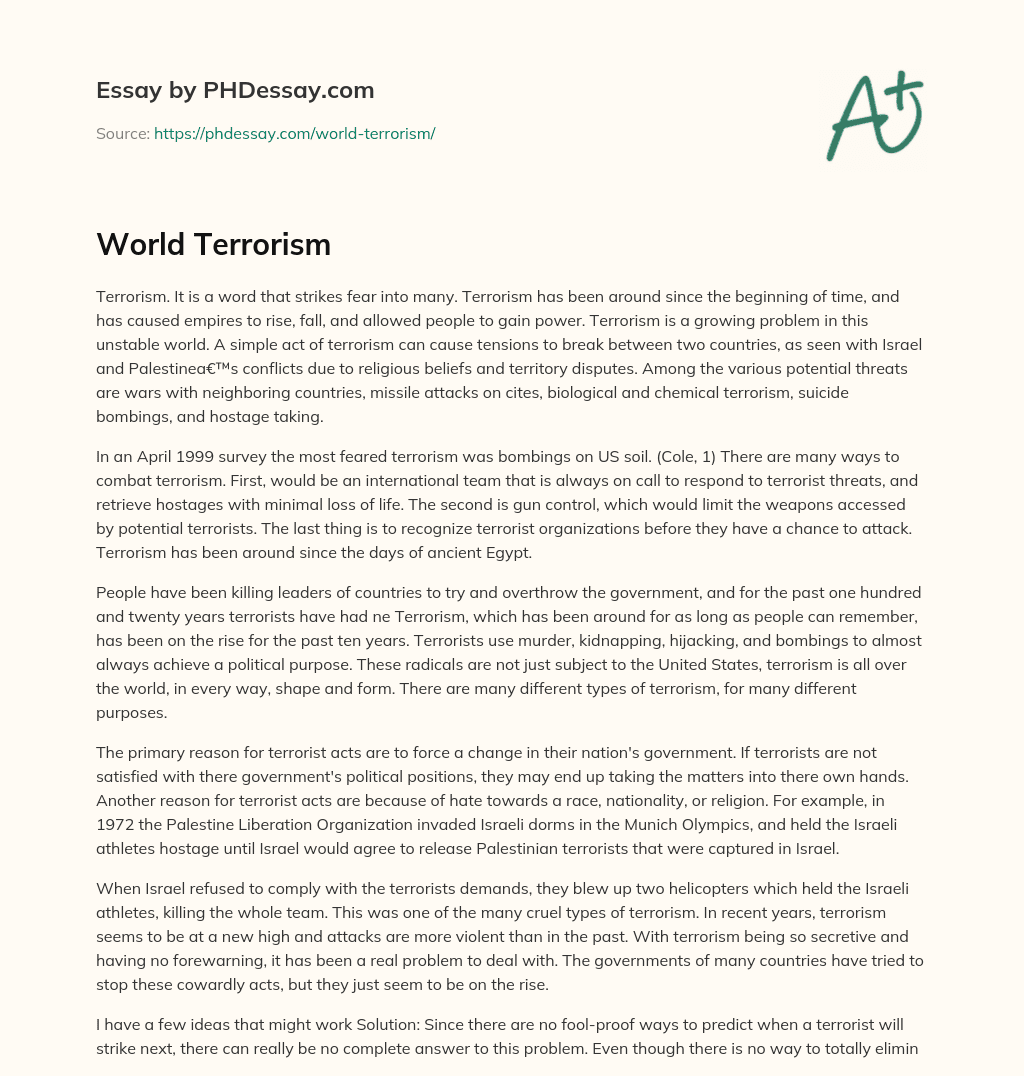 World Terrorism essay