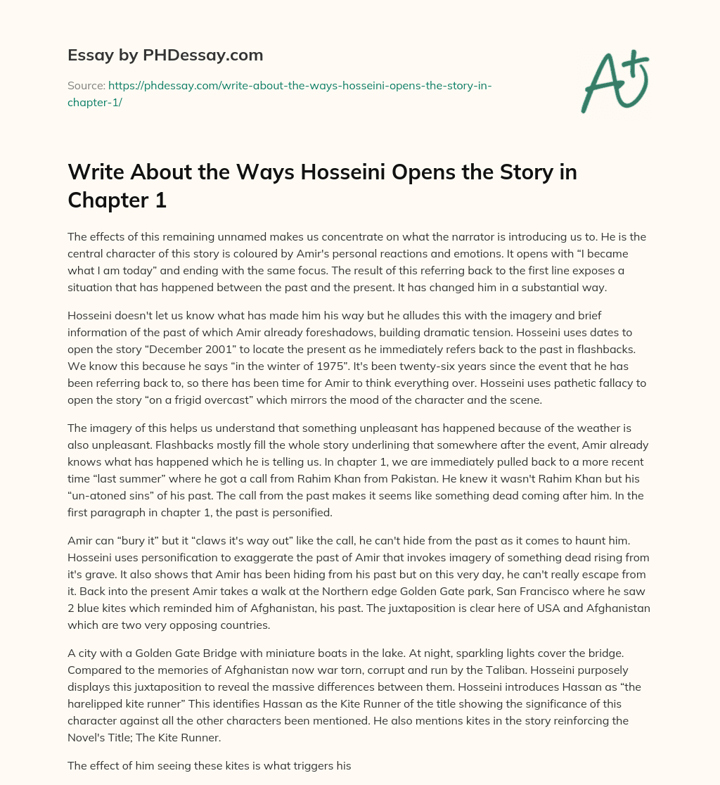 Write About the Ways Hosseini Opens the Story in Chapter 1 essay