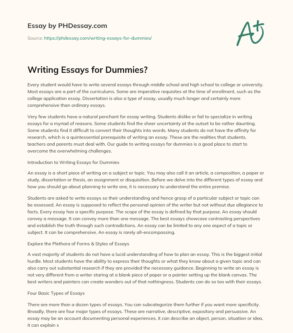 essay definition for dummies