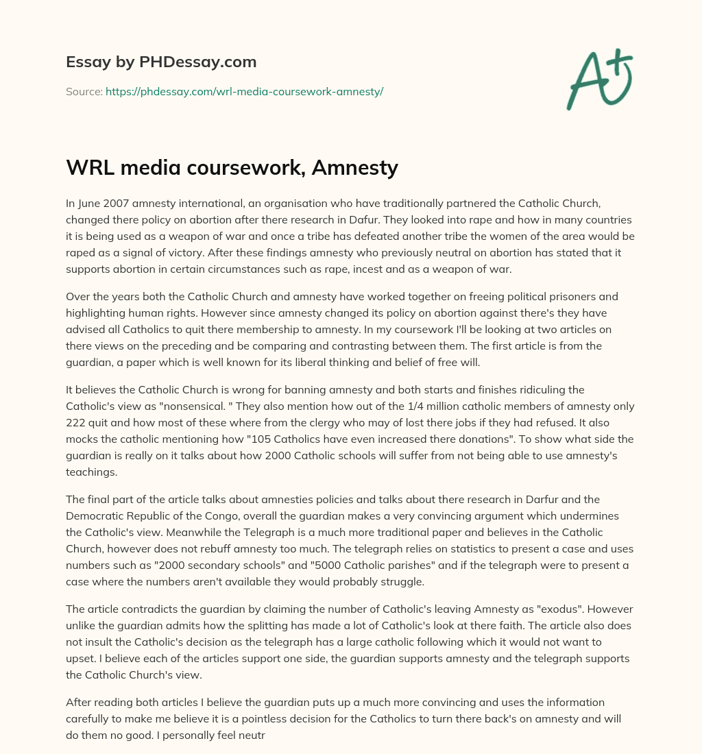 WRL media coursework, Amnesty essay