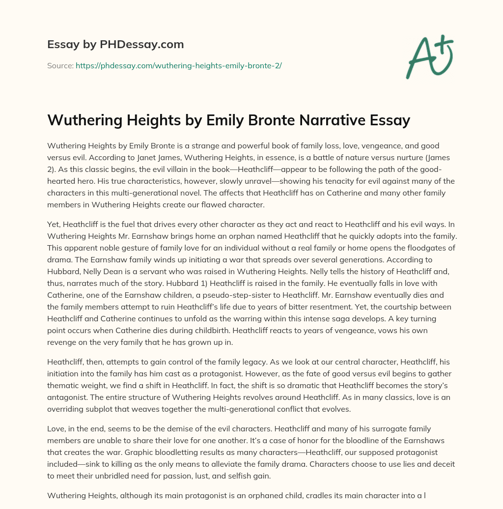 Wuthering Heights by Emily Bronte Narrative Essay essay