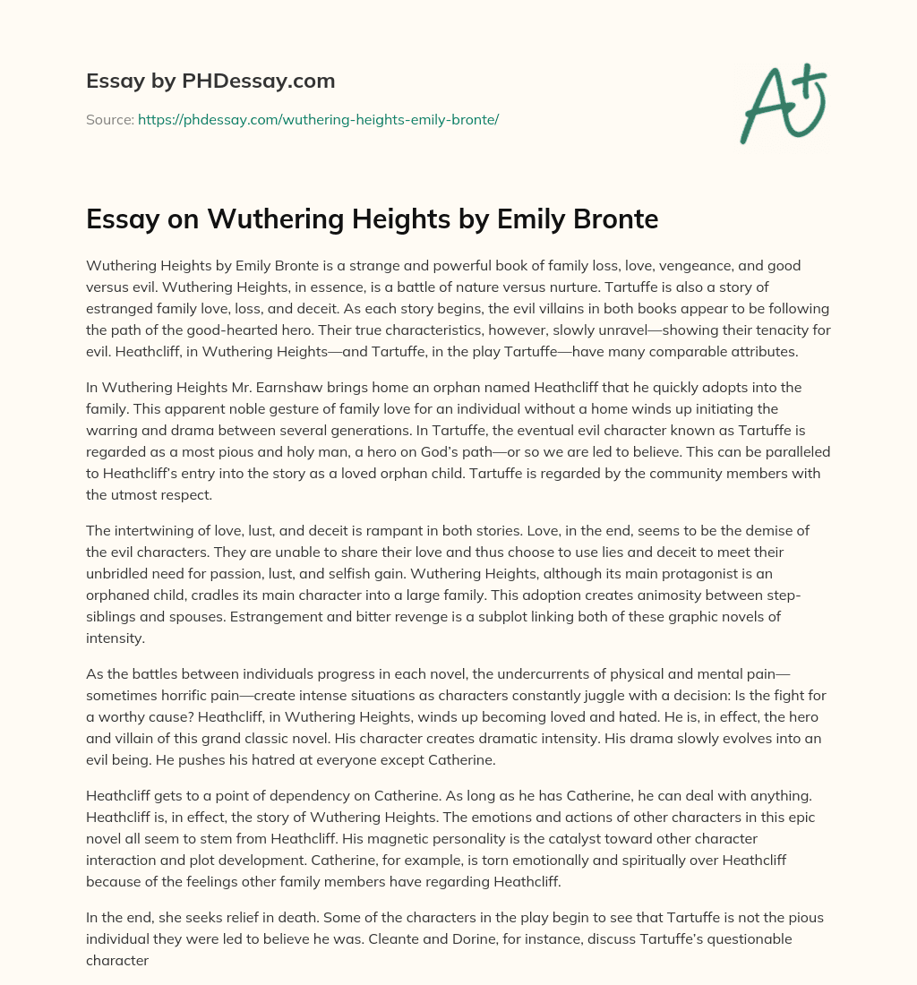 Essay on Wuthering Heights by Emily Bronte essay
