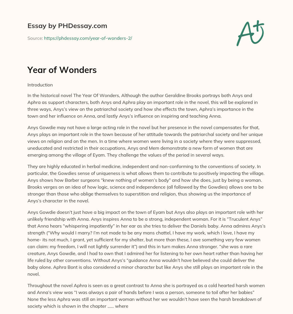 Year of Wonders essay