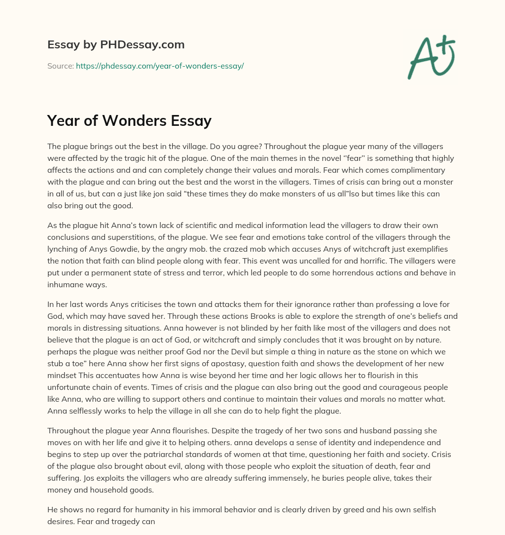 Year of Wonders Essay essay