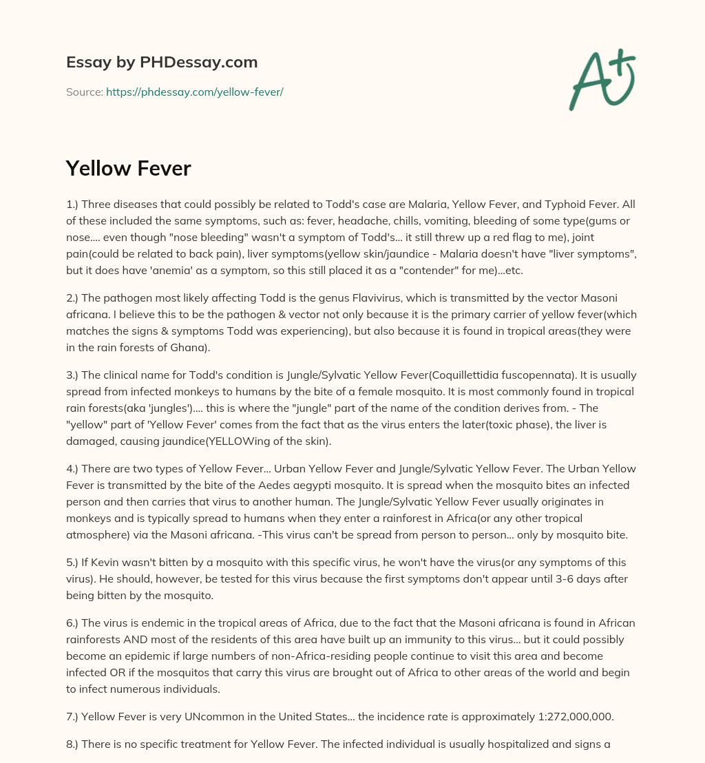 yellow fever essay