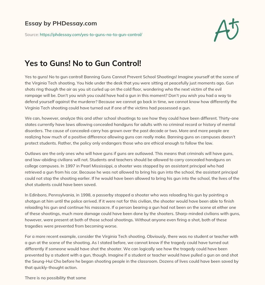 Yes to Guns! No to Gun Control! essay