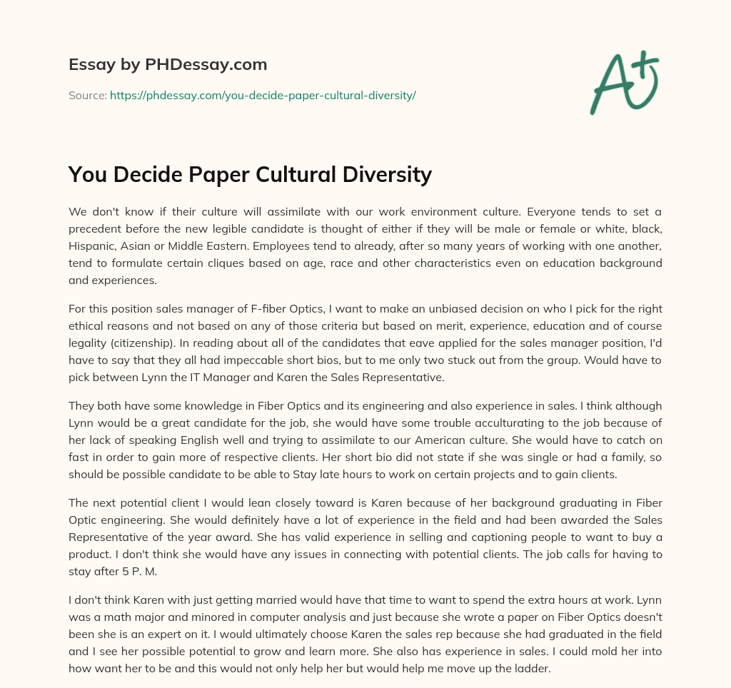 You Decide Paper Cultural Diversity essay