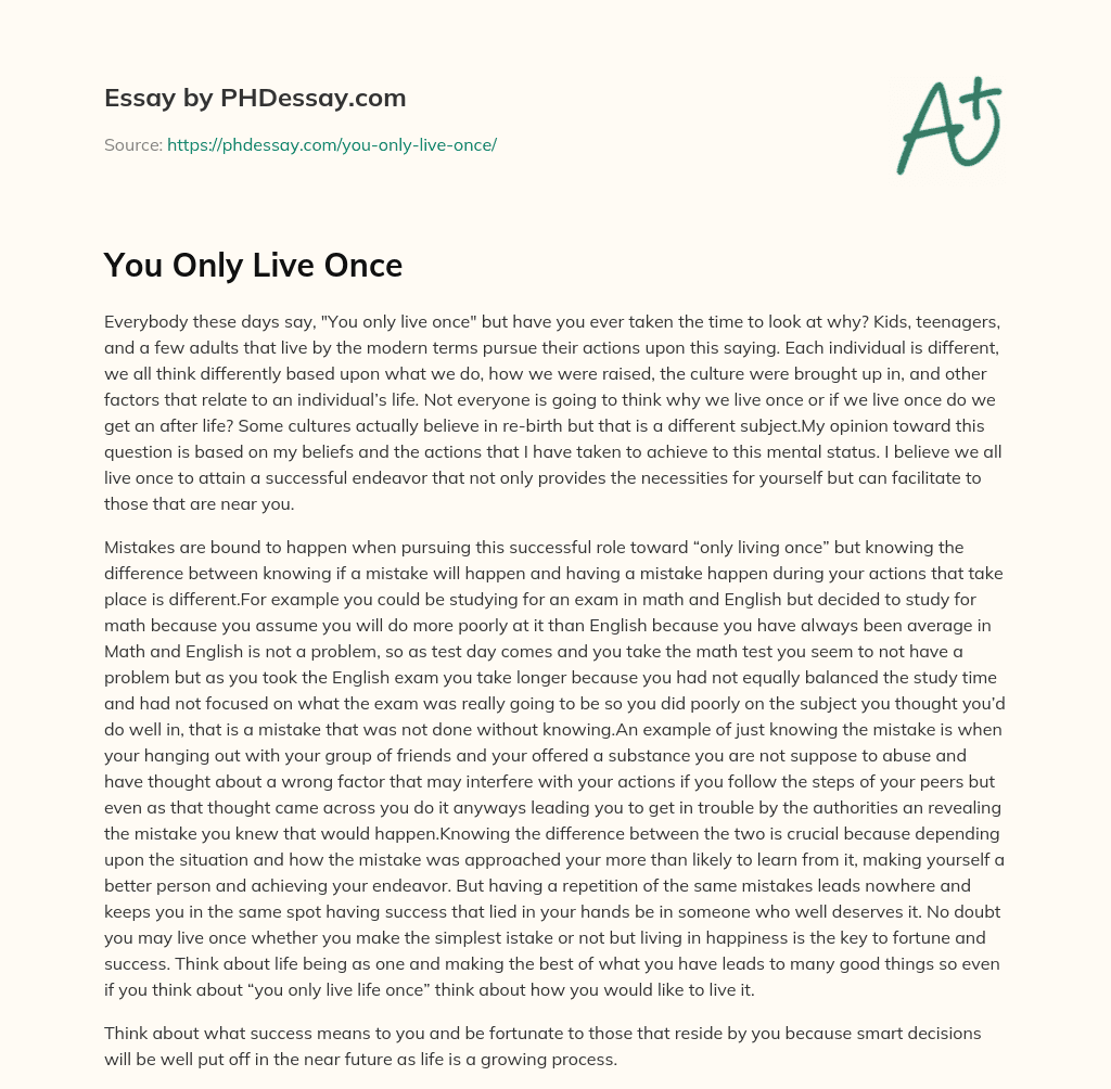 essay you only live once