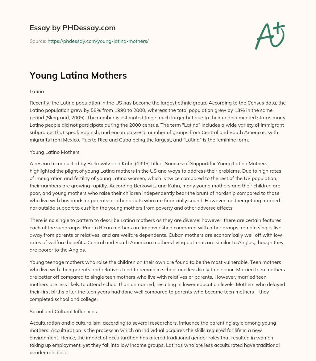Young Latina Mothers essay