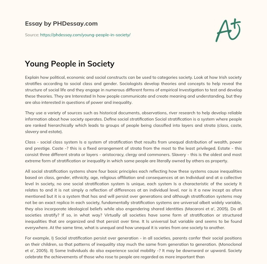 Young People in Society essay