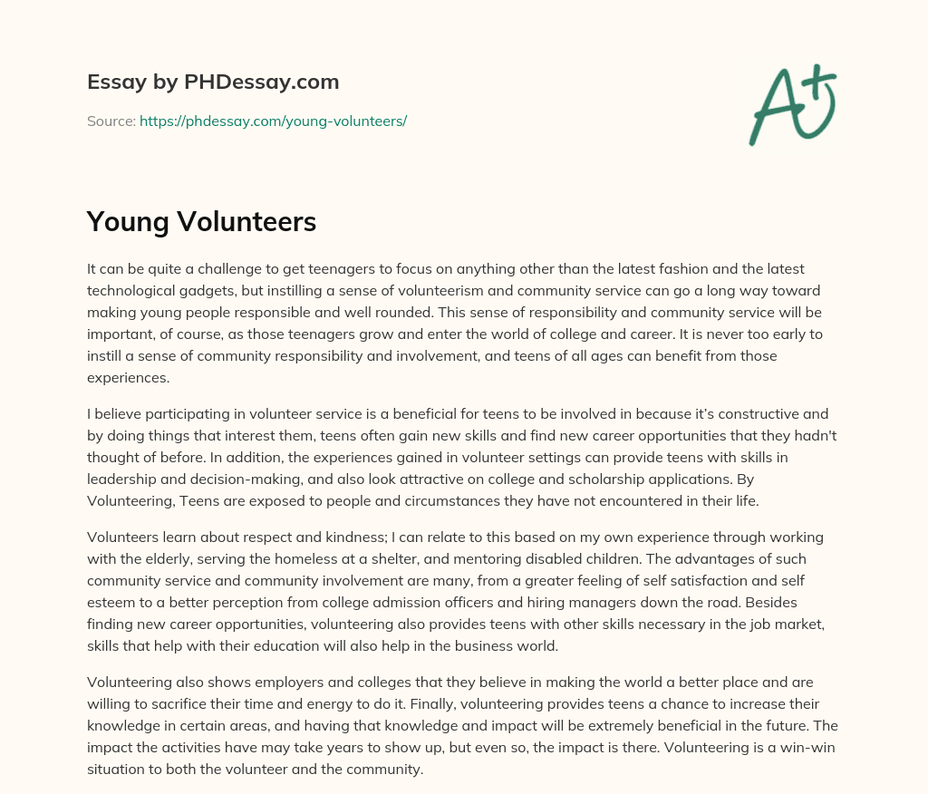Young Volunteers essay