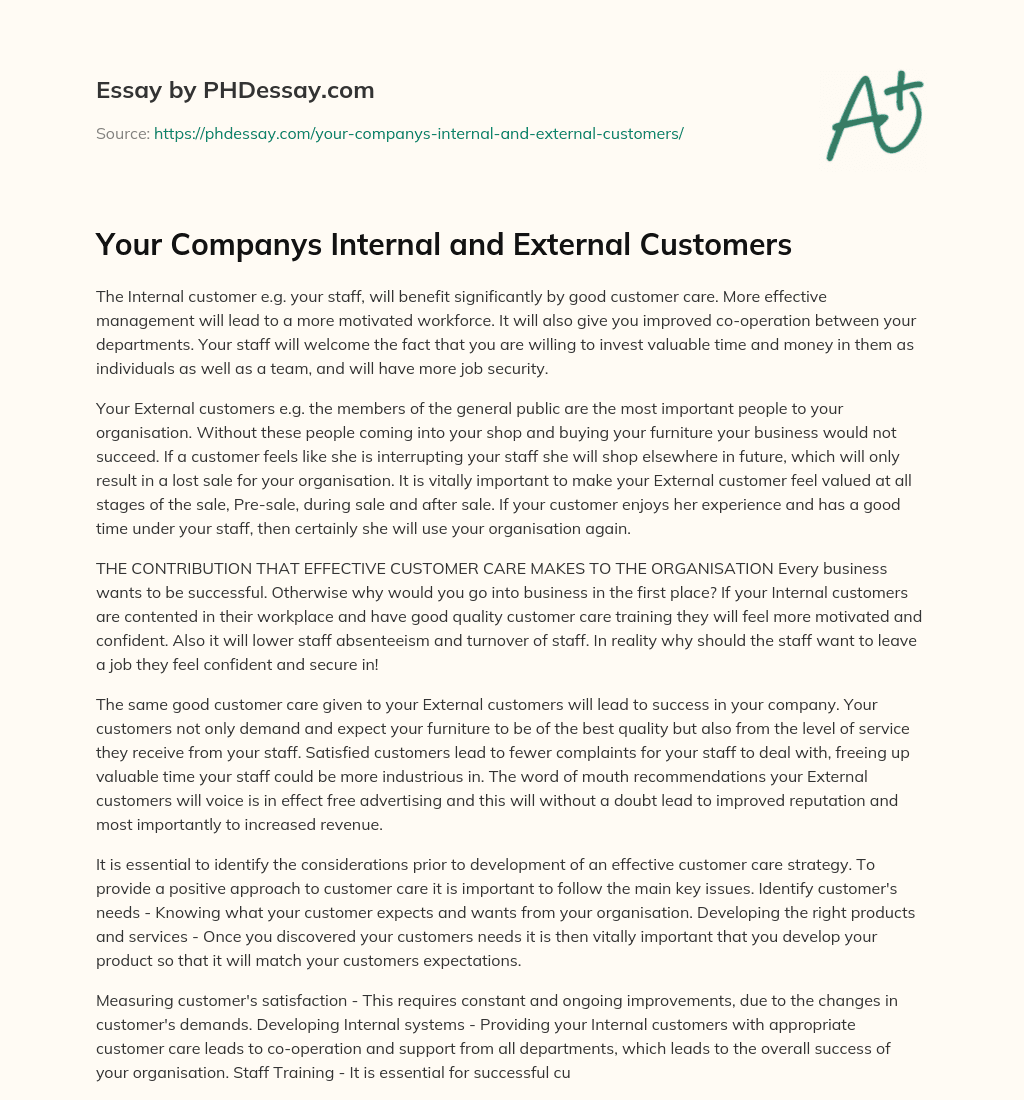 Your Companys Internal and External Customers essay