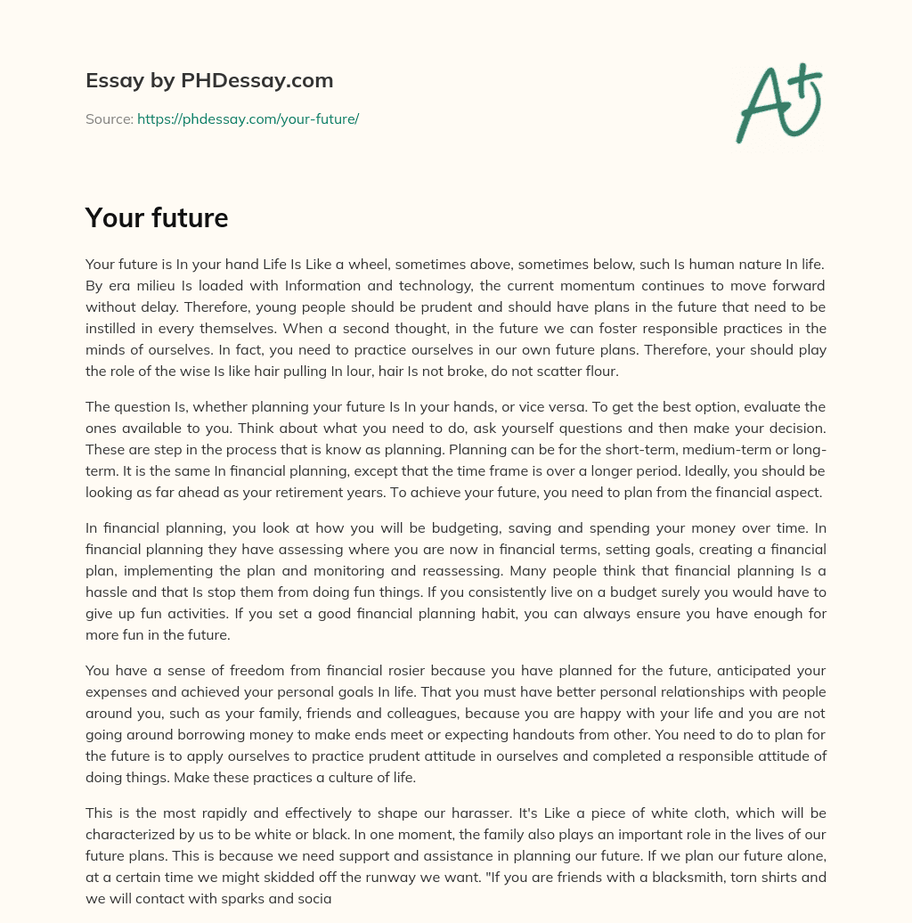 Taking Control of Your Future: The Importance of Planning essay