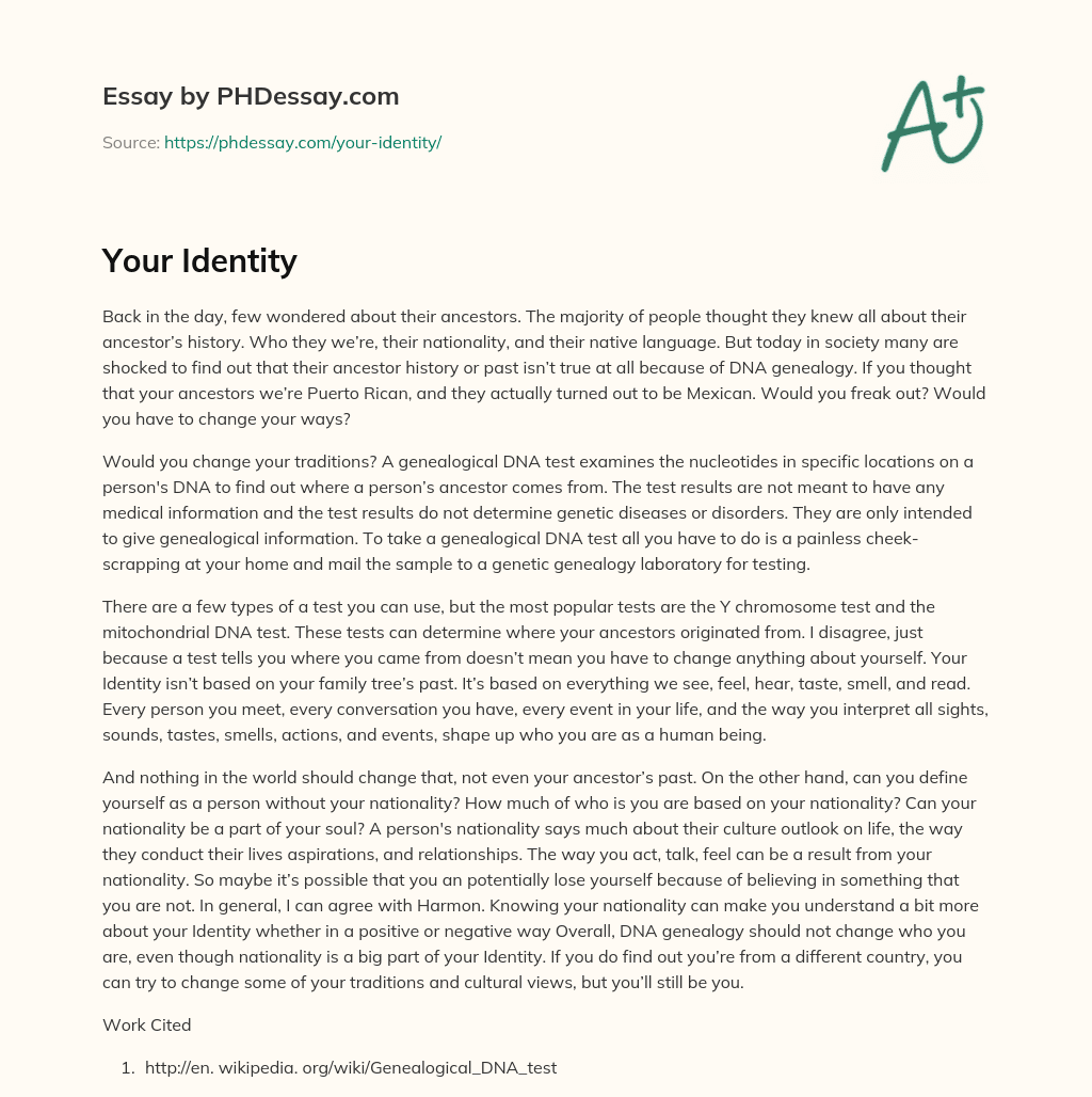 Your Identity essay