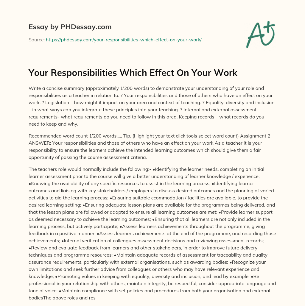 Your Responsibilities Which Effect On Your Work essay