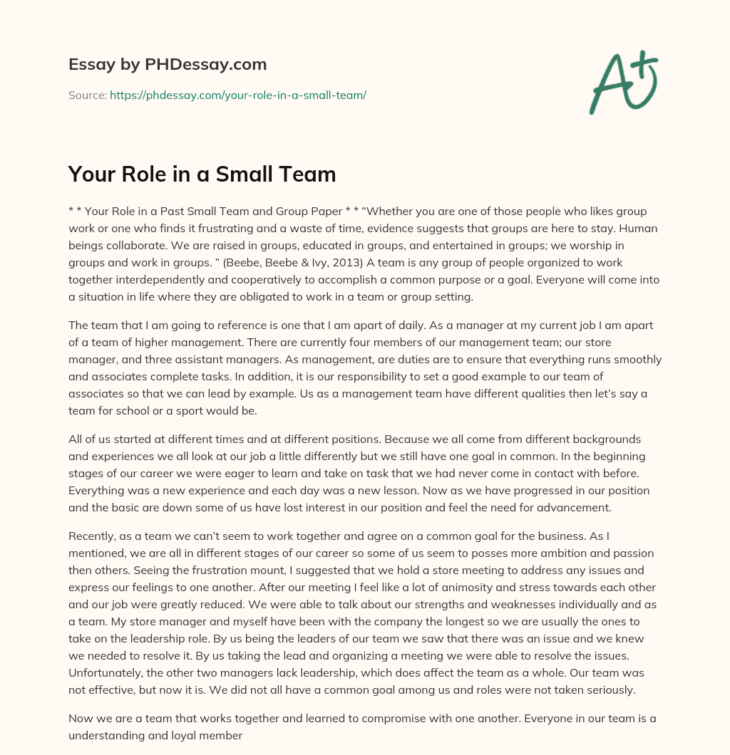Your Role in a Small Team essay