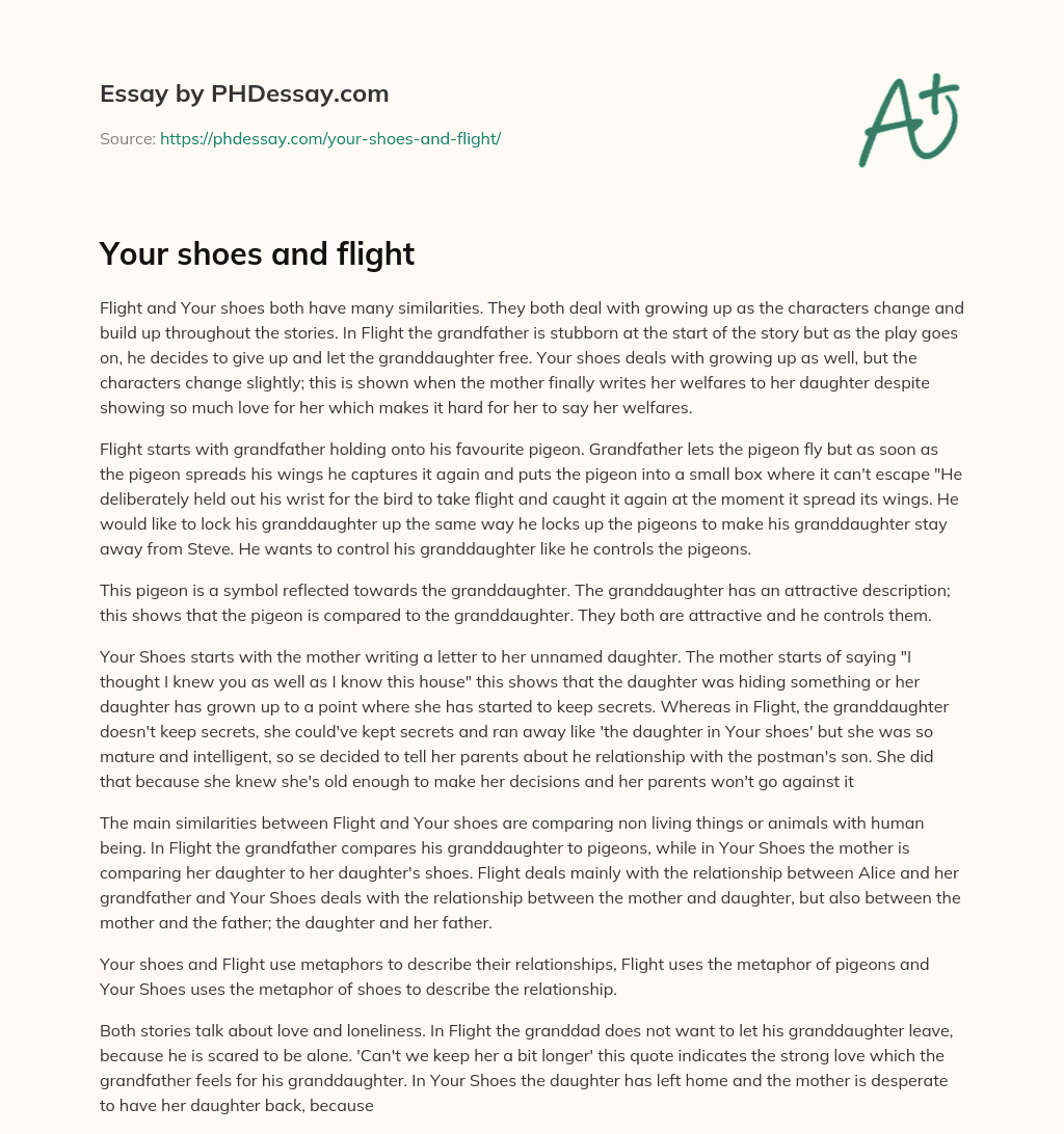 Your shoes and flight essay