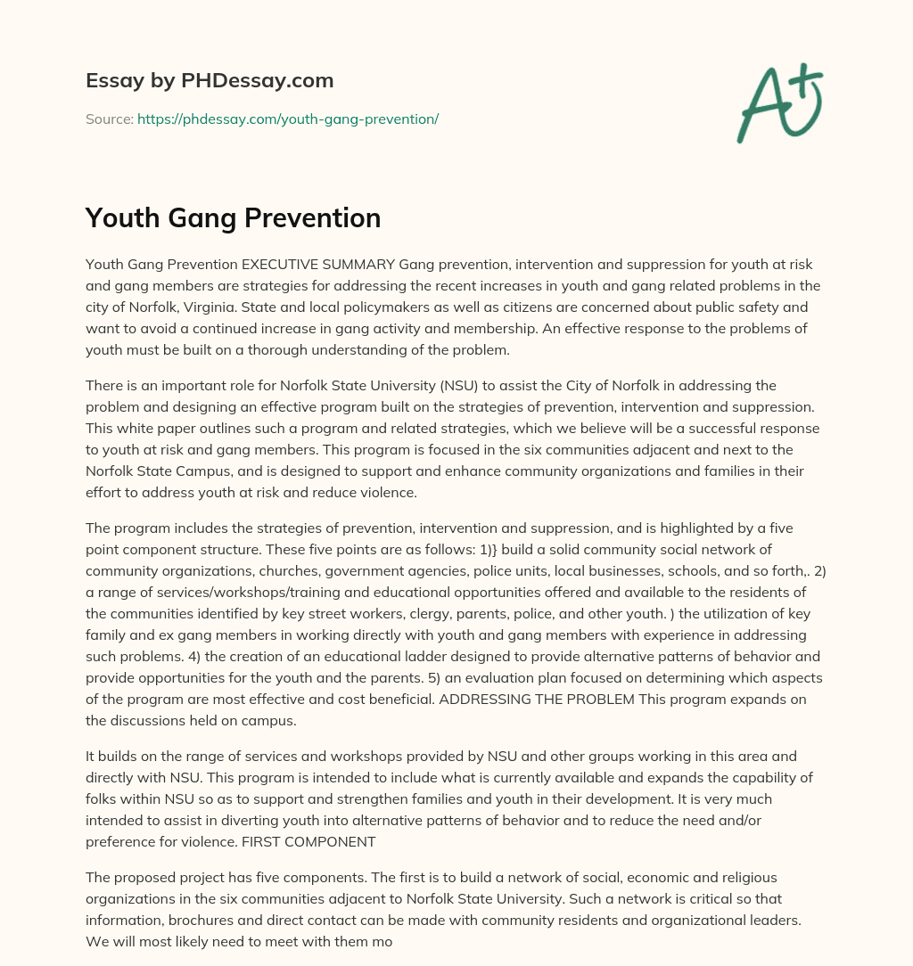 youth prevention essay