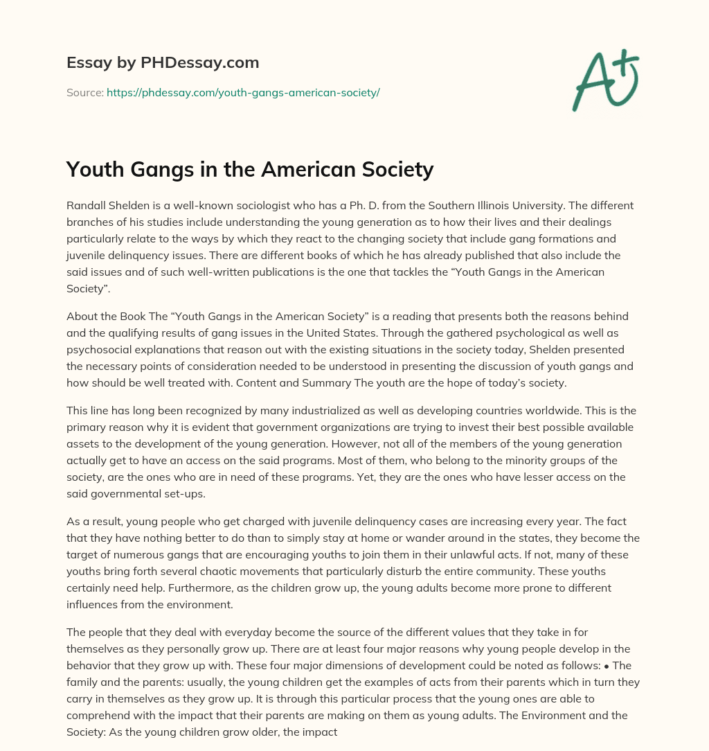 Youth Gangs in the American Society essay
