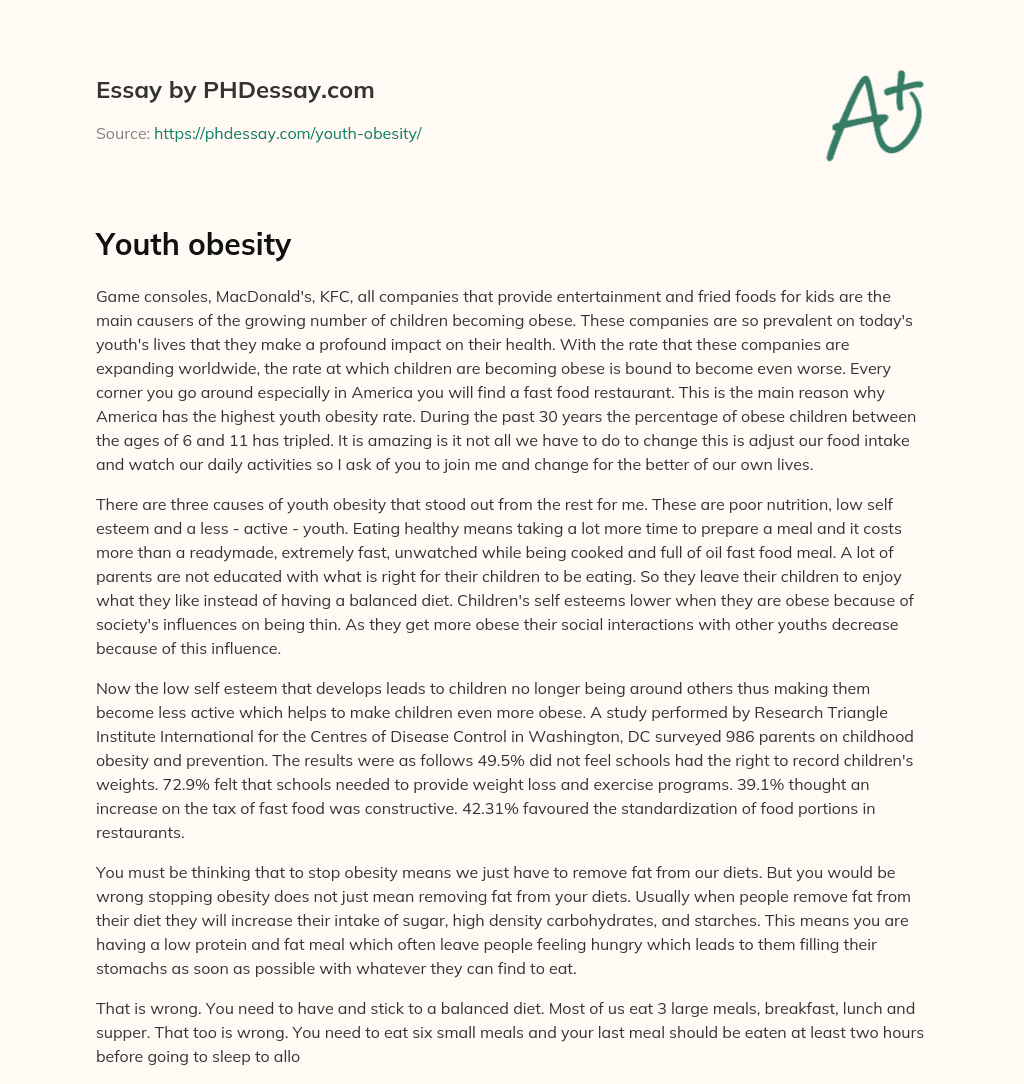 Youth obesity essay