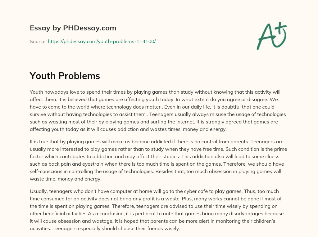 Youth Problems essay
