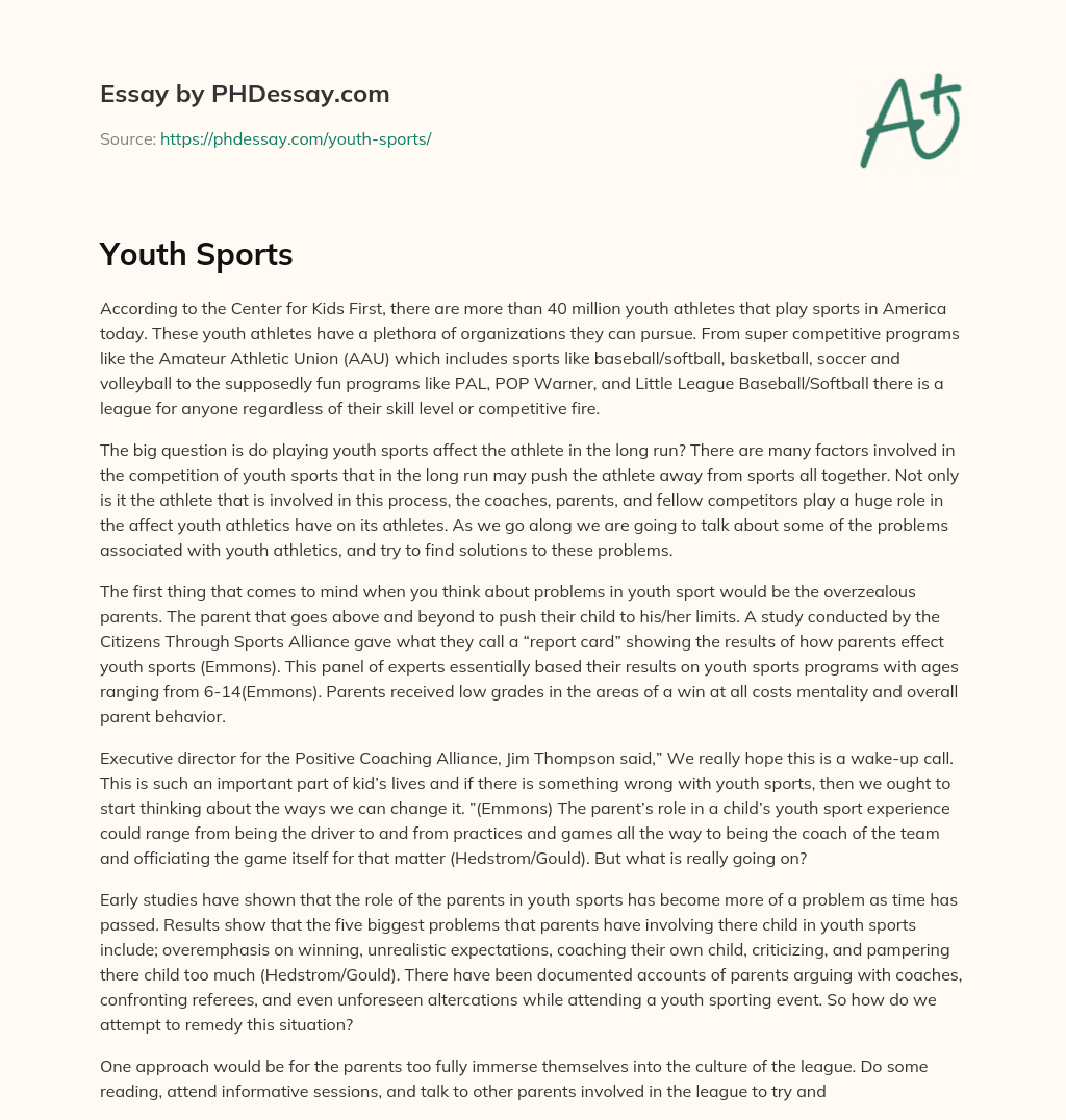 Youth Sports essay