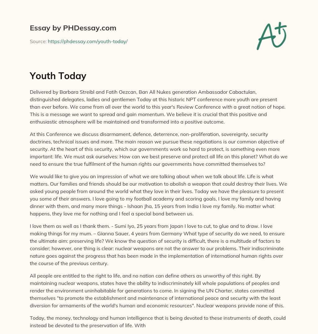 Youth advocate for nuclear disarmament at NPT conference essay