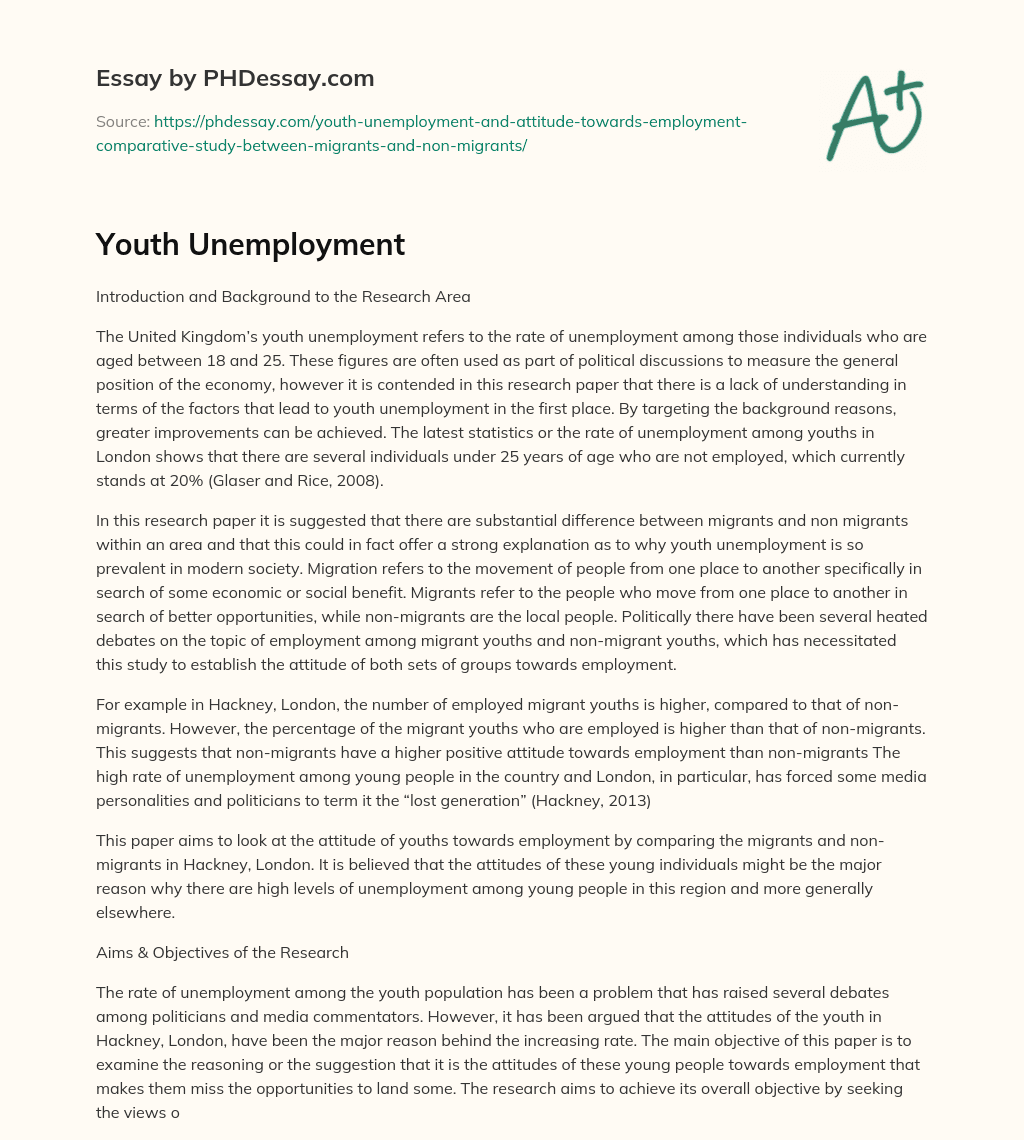 Youth Unemployment essay