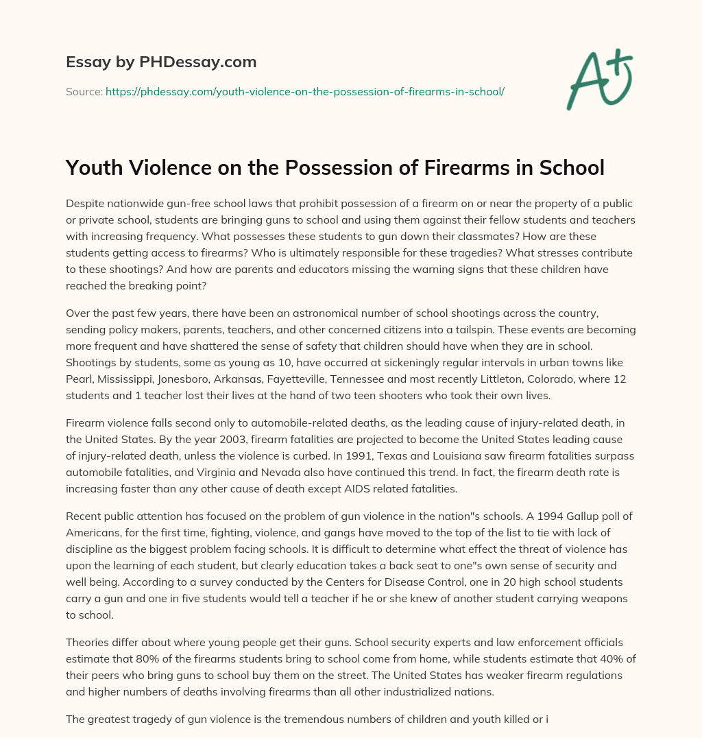 Youth Violence on the Possession of Firearms in School essay