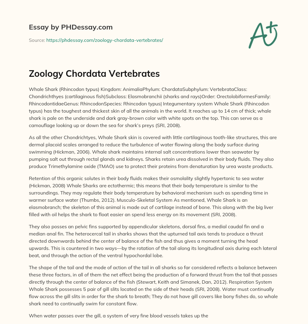 Zoology Chordata Vertebrates essay