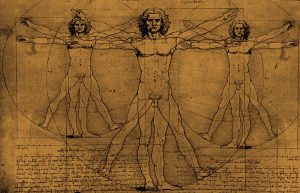 Vitruvian Man Leonardo Da Vinci