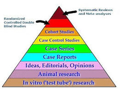 evidence based practice essay