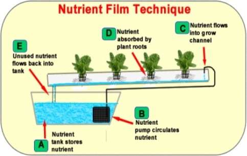 Nutrient Film Tech