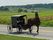 Essays on Amish
