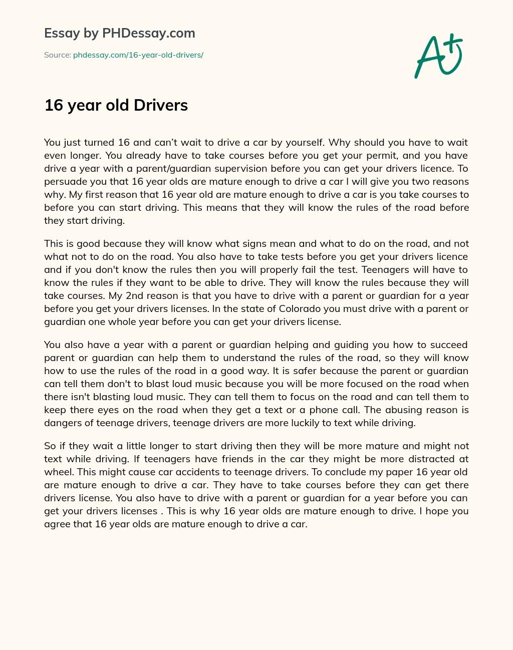 16 year old Drivers essay