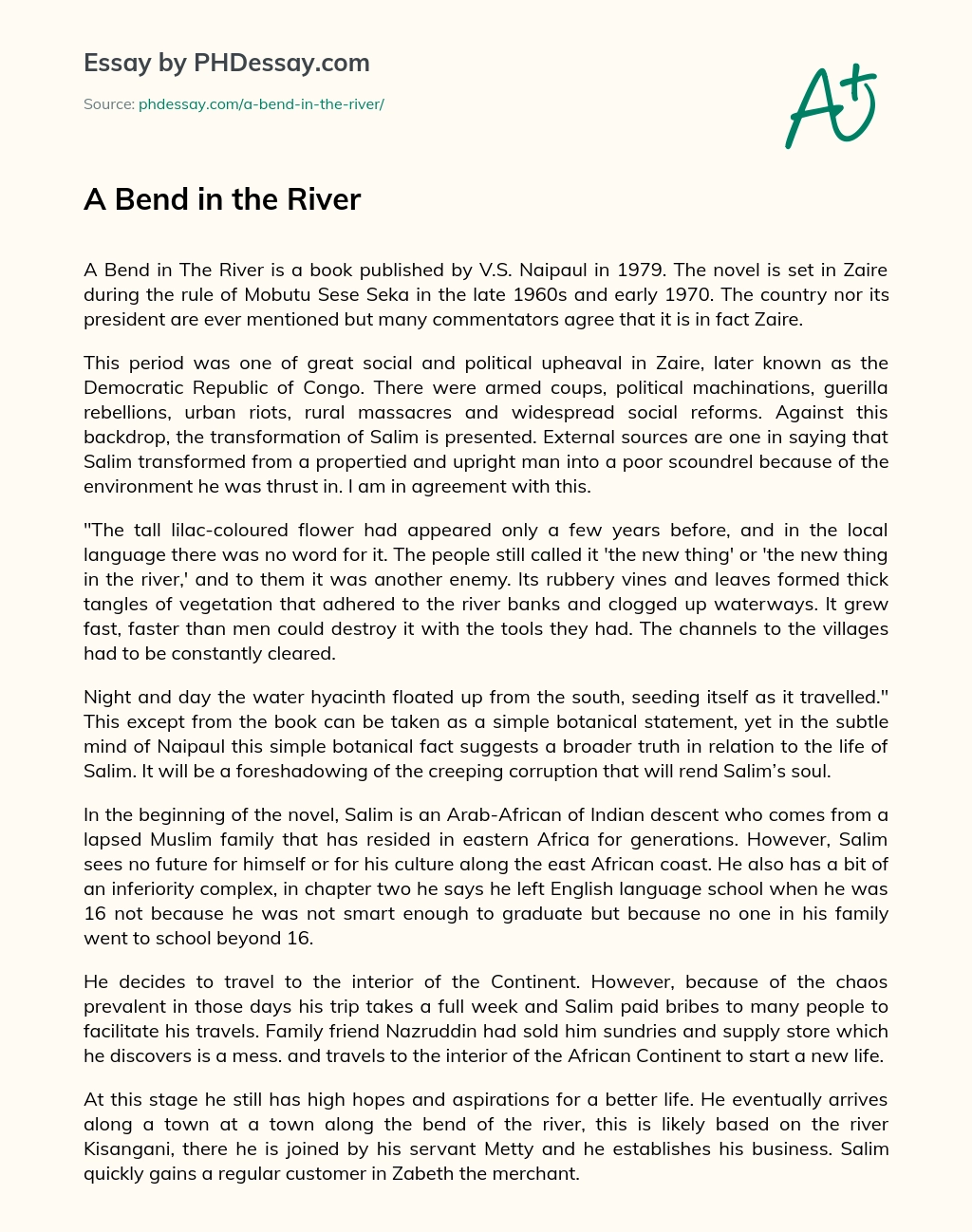 A Bend in the River essay