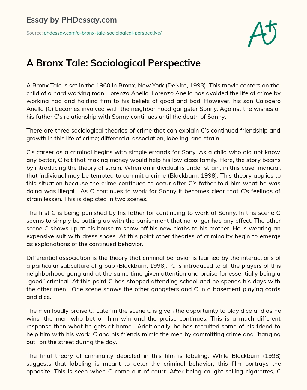 sociological perspective essay