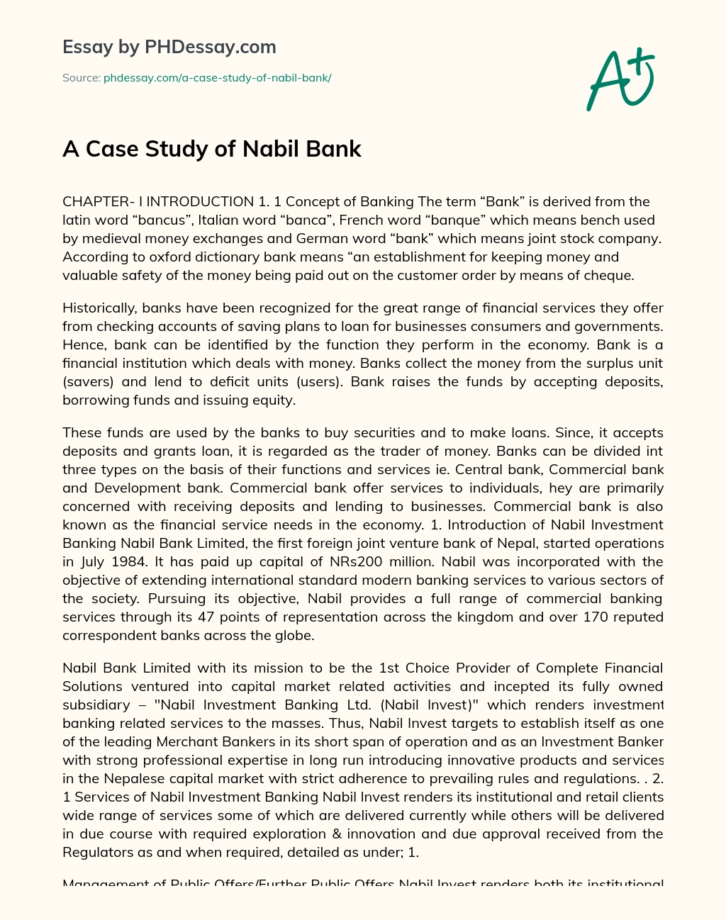 A Case Study of Nabil Bank essay