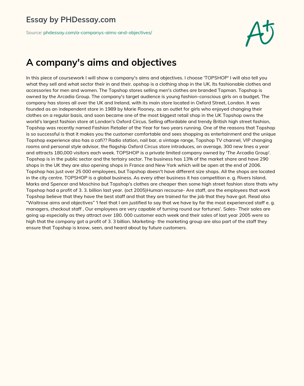 A company’s aims and objectives essay