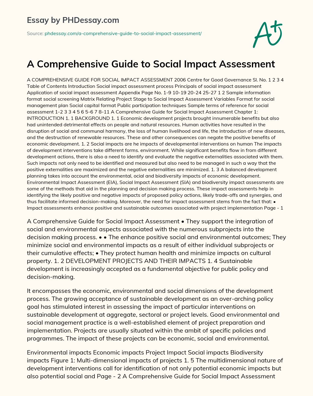 A Comprehensive Guide to Social Impact Assessment essay