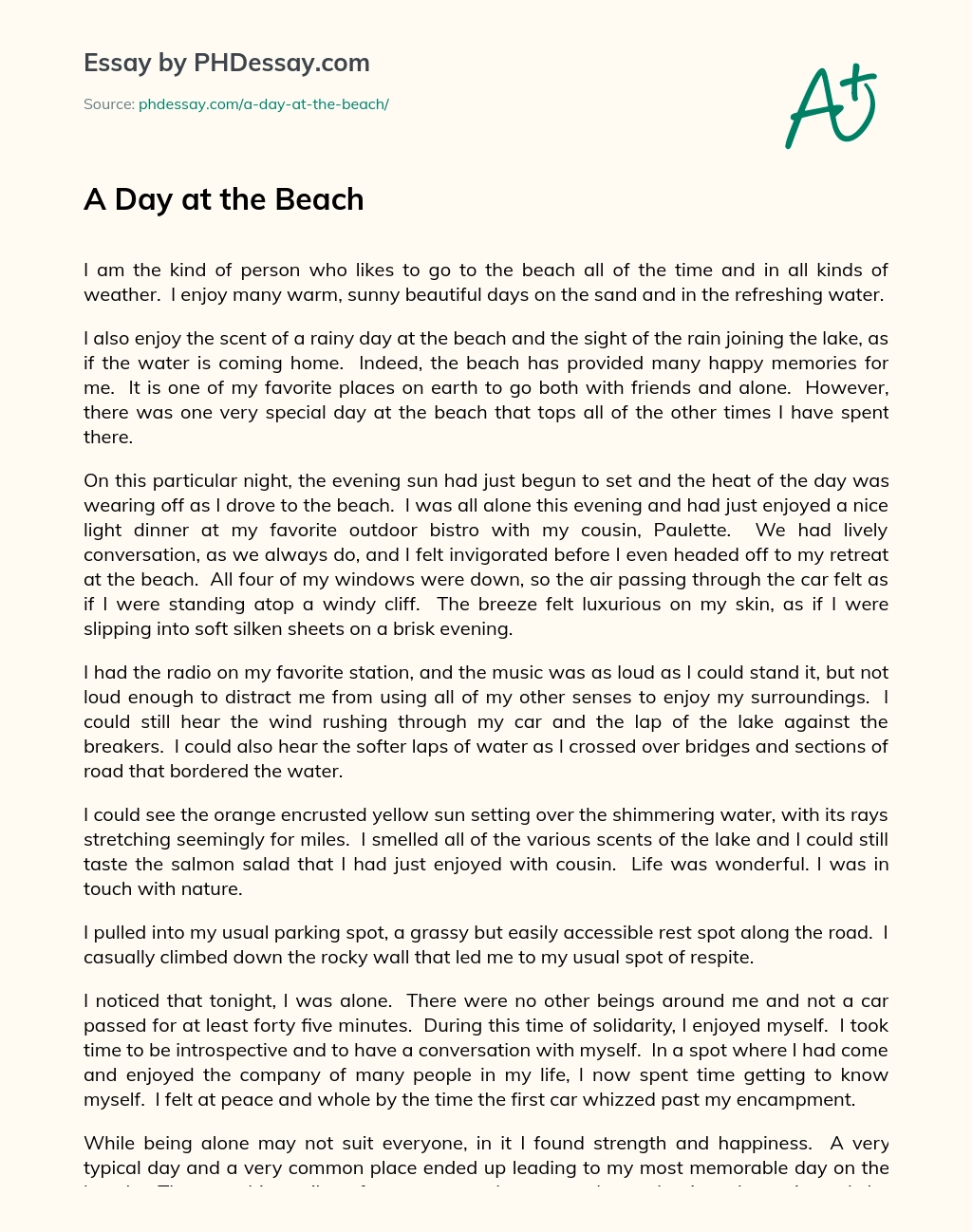 A Day at the Beach essay
