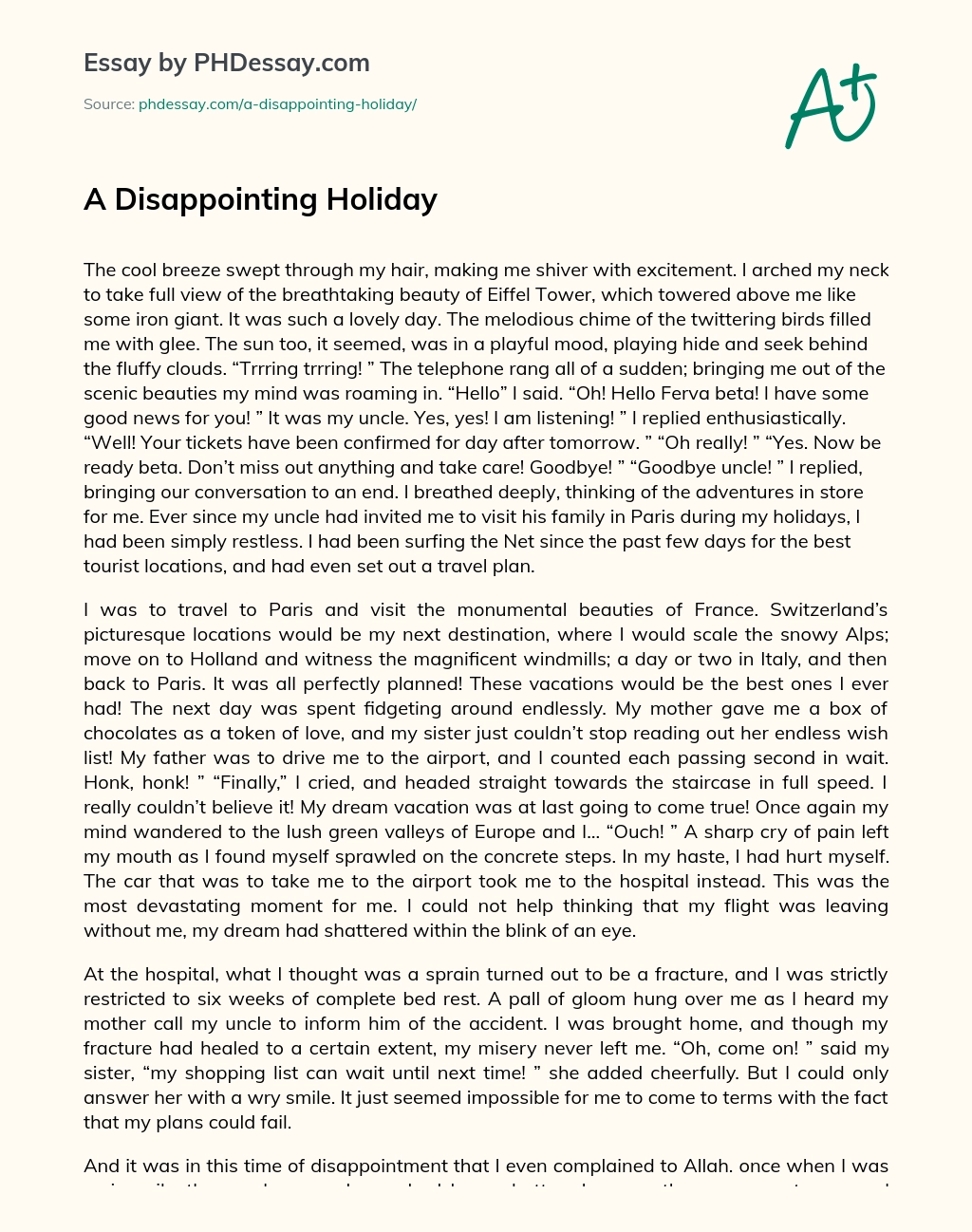 A Disappointing Holiday essay