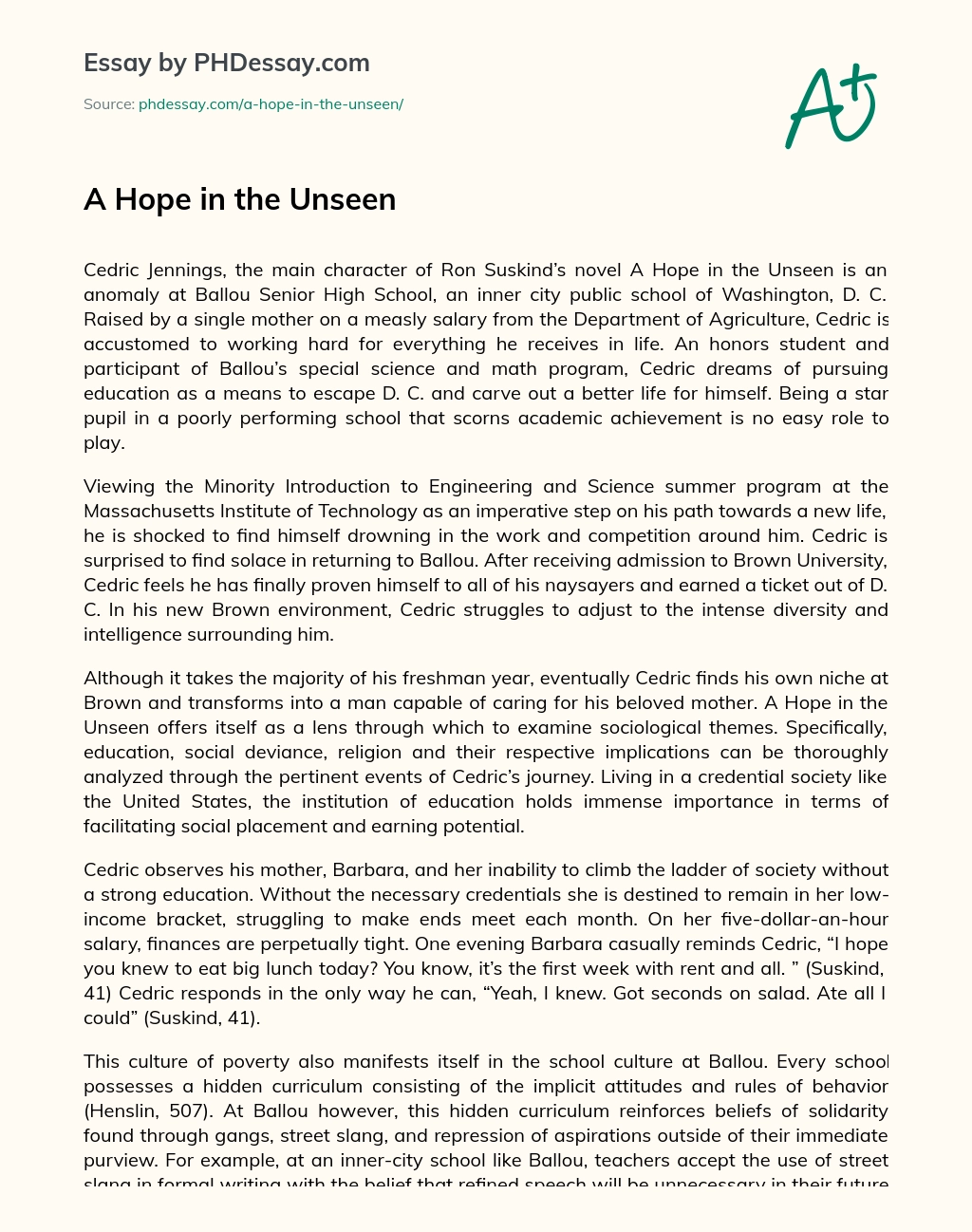 A Hope in the Unseen essay