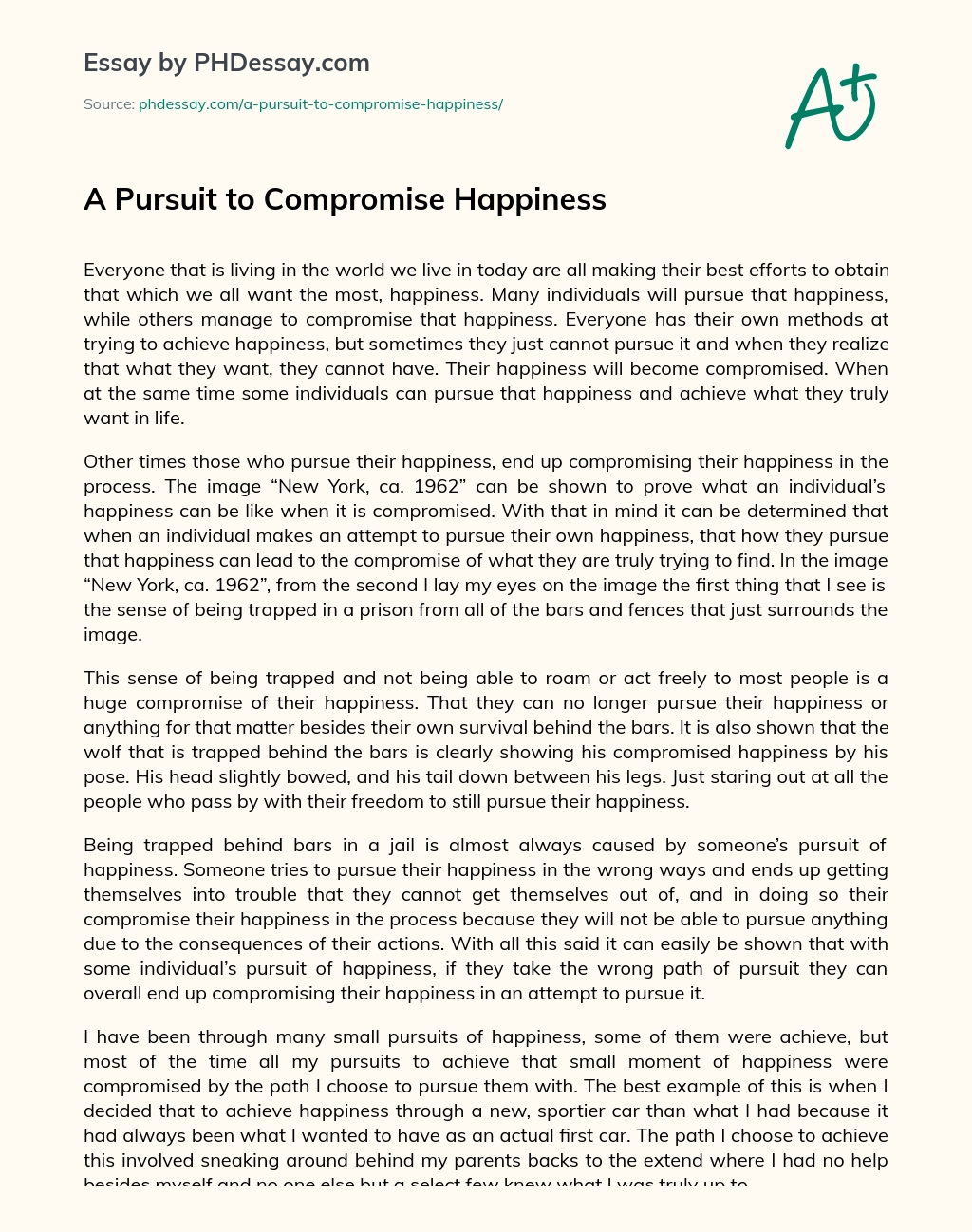 A Pursuit to Compromise Happiness essay
