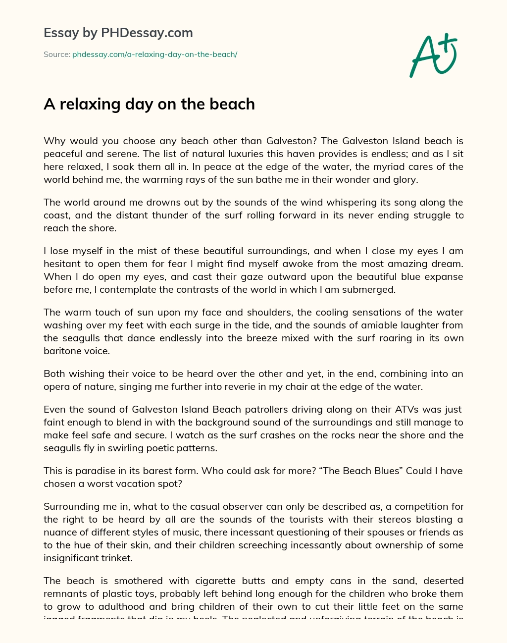 a day at the beach essay